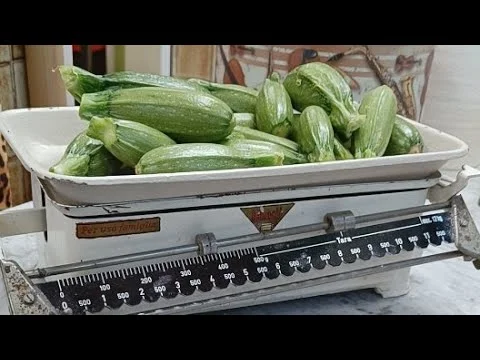 zucchine
