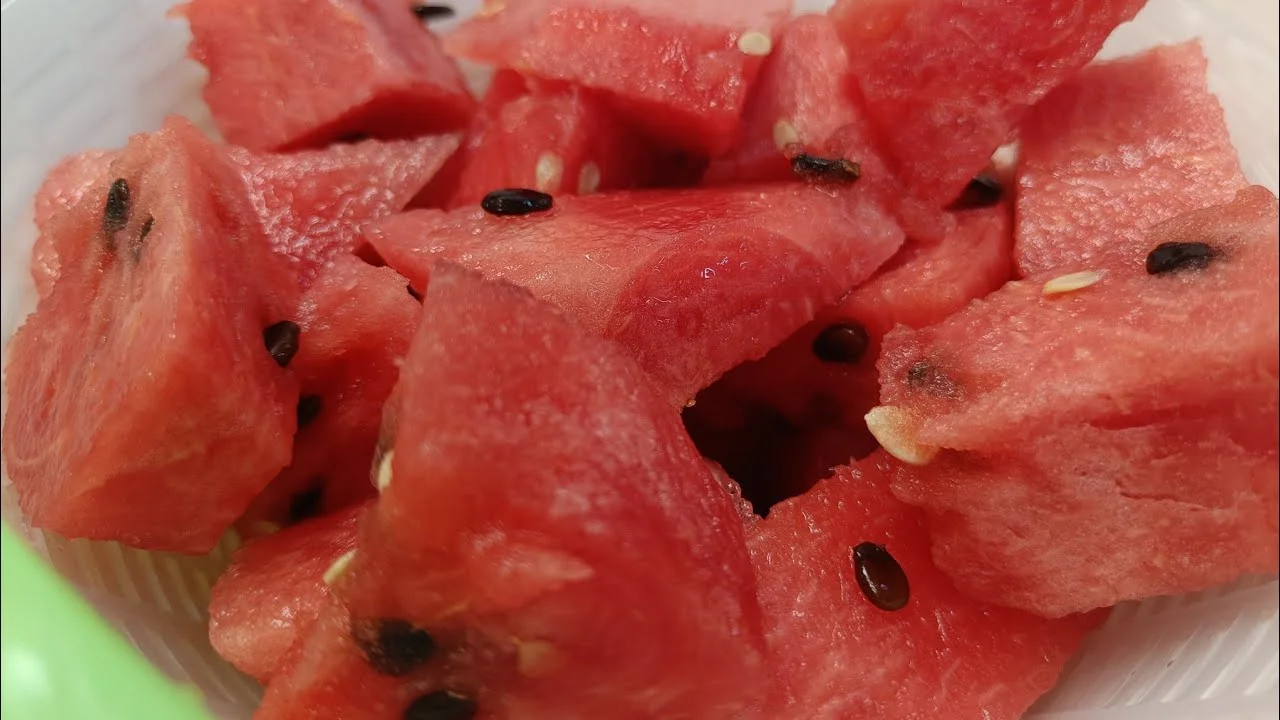 cocomero
