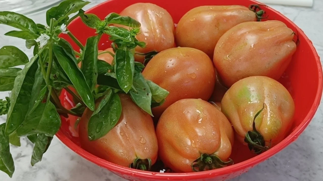 Pomodori