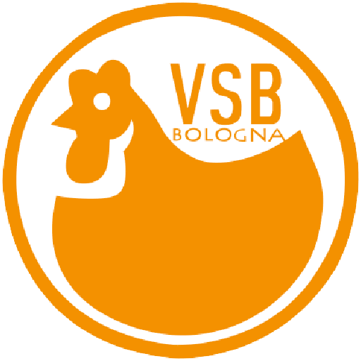 (c) Vsb-bologna.it